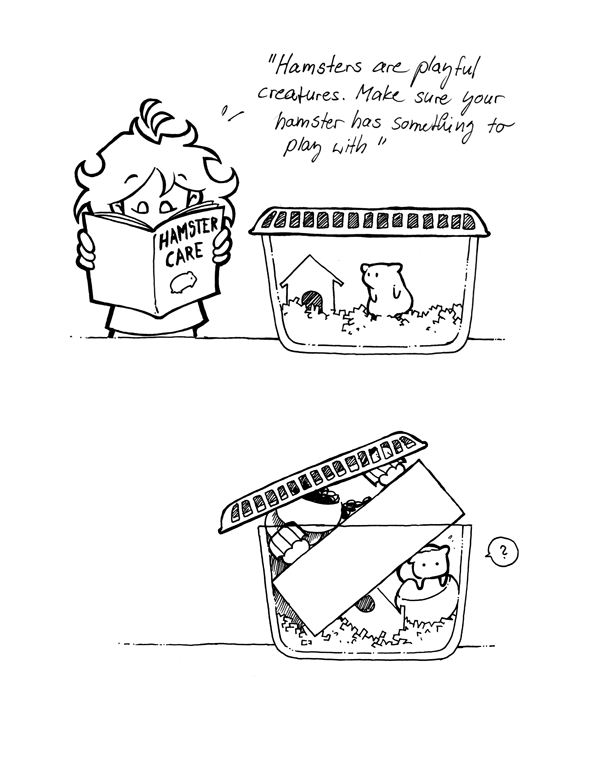 hamster care